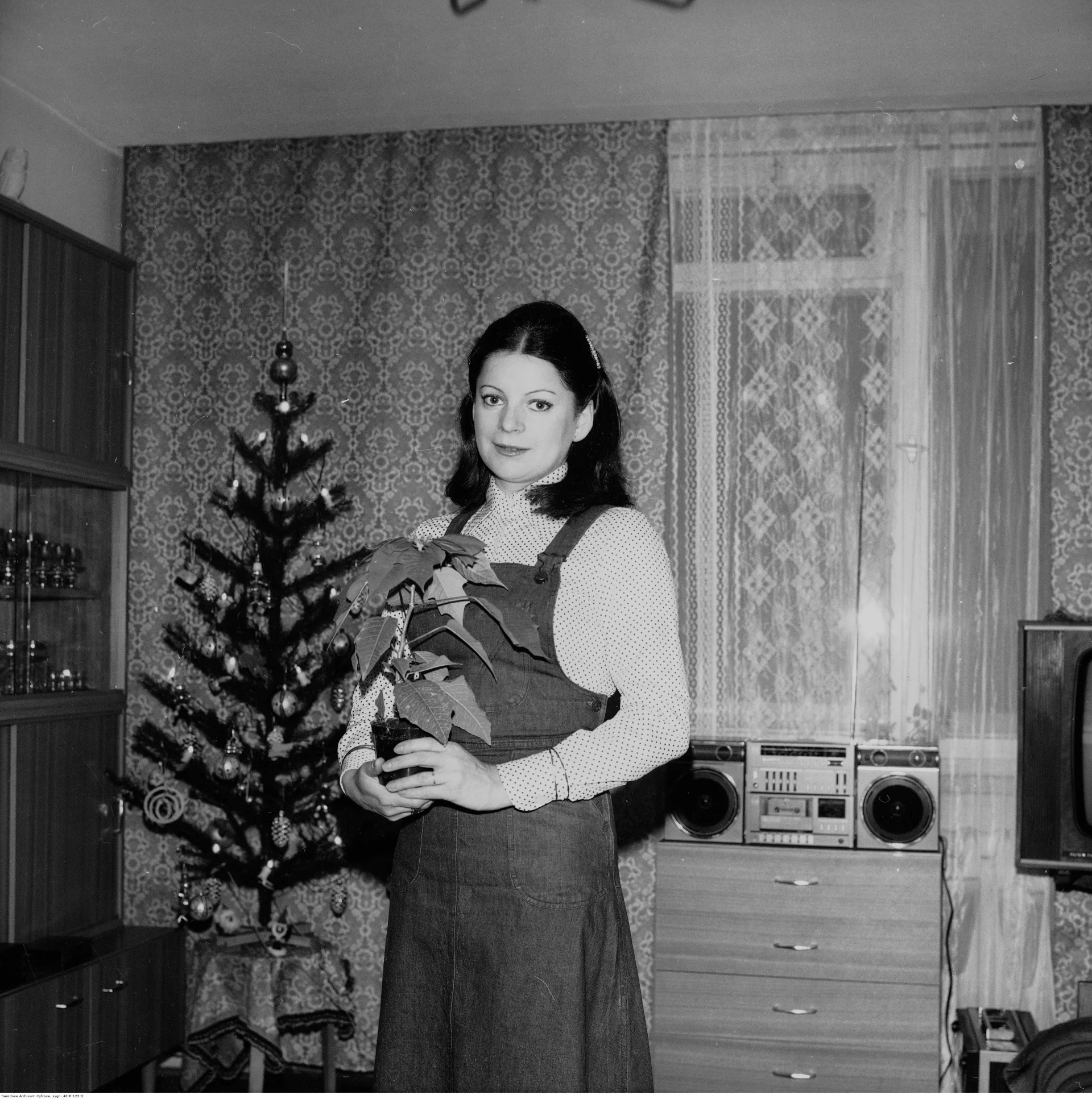 Pani pozująca z gwiazdą betlejemską (1976)