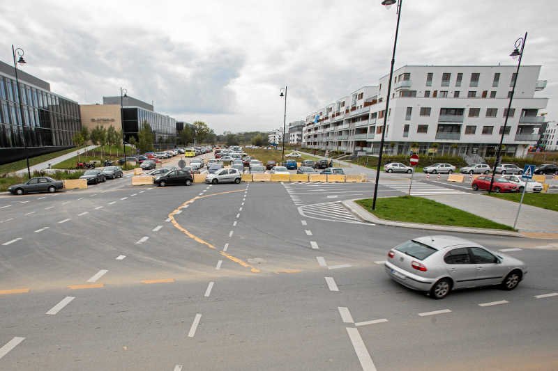 Lemingi mogą być ważną dla polityków grupą wyborców, jeśli będą w stanie wymóc na nich swój program.