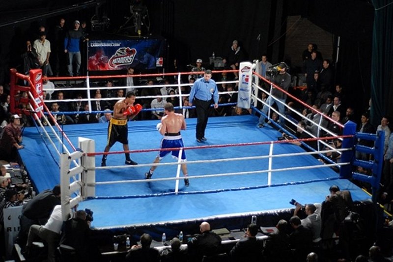 Polscy bokserzy z Hussars Poland walczyli na pięciu kontynentach