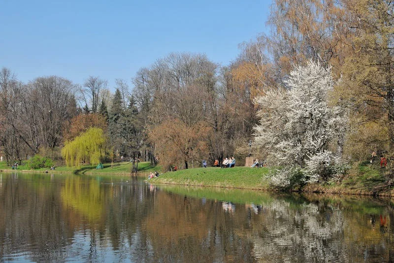 Park Skaryszewski to kilka stawów, stare drzewa i przepiękne polany