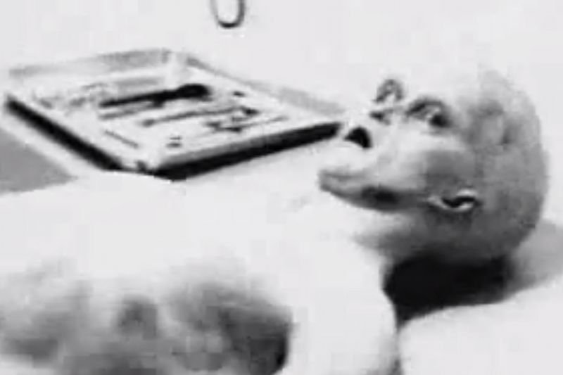 Kadr z filmu rzekomo dokumentującego sekcję zwłok Obcego na terenie USA.