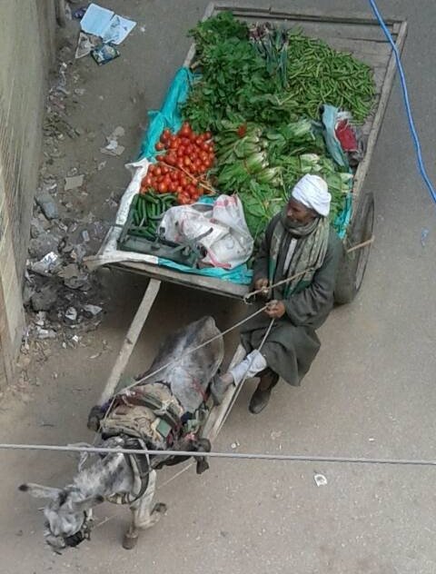 Uliczny sprzedawca świeżych warzyw