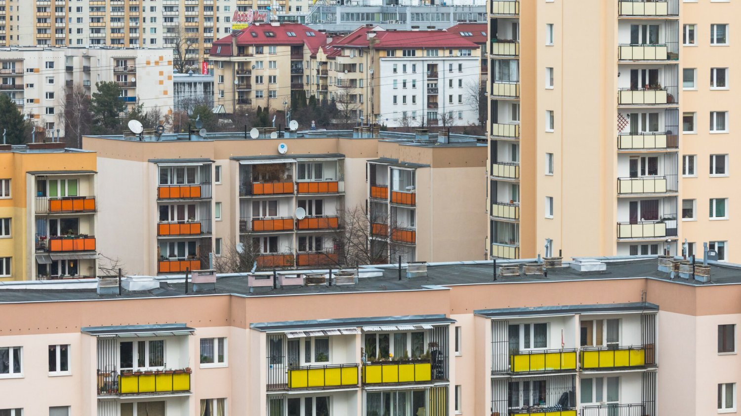 Ceny mieszkań zwalają z nóg, a emocje z tym związane widać szczególnie w sieci