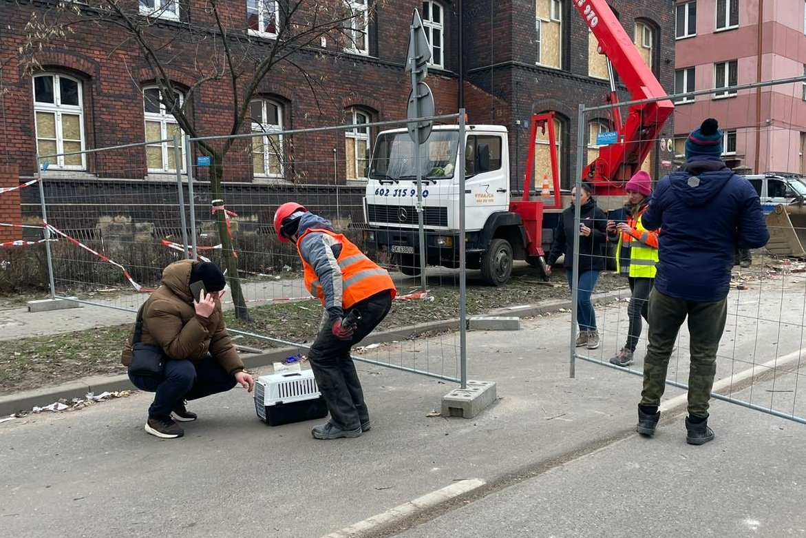 W gruzach odnaleziono kota, z kolei kotka "Szarotka" nadal jest poszukiwana.