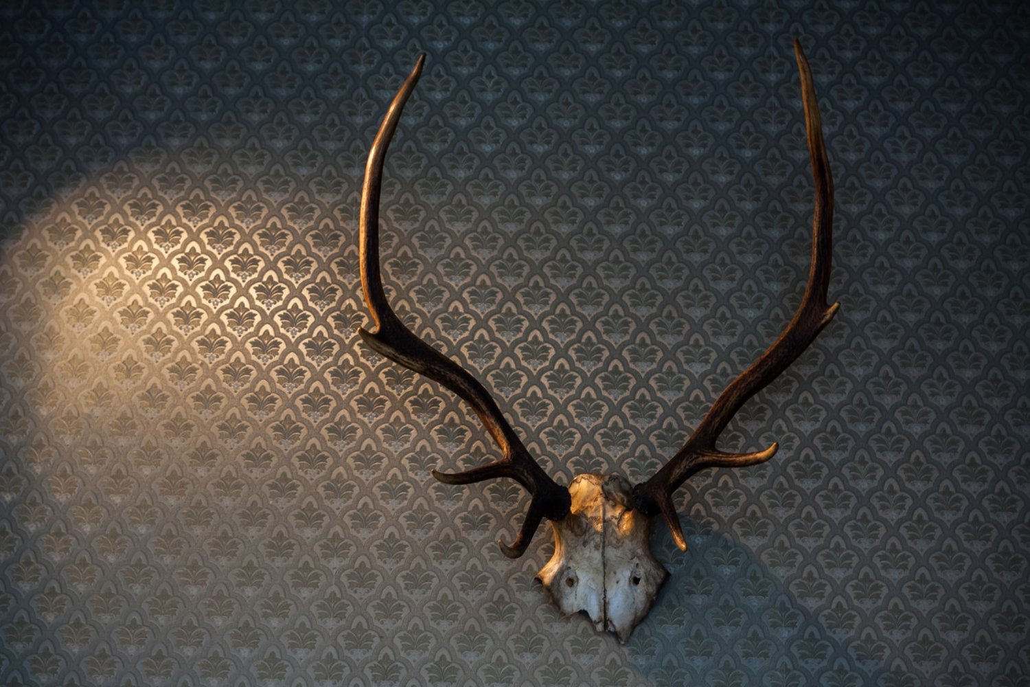 klubokawiarnia Polonez na ul. Poznańskiej