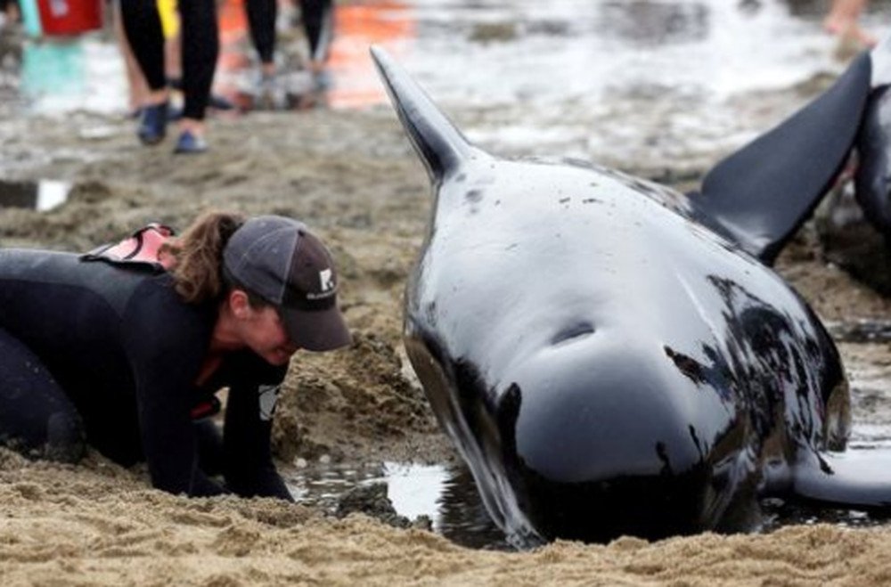 Setki waleni walczy o życie.