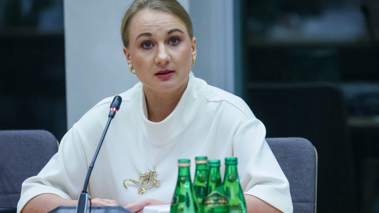 Dorota Brejza podczas przesłuchania na komisji ds. Pegasusa