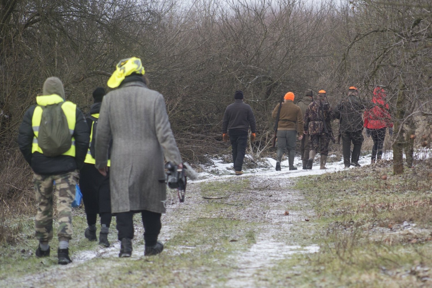 Myśliwi zabili łosia. W polowaniu wziął kandydat na prezydenta Olsztyna.