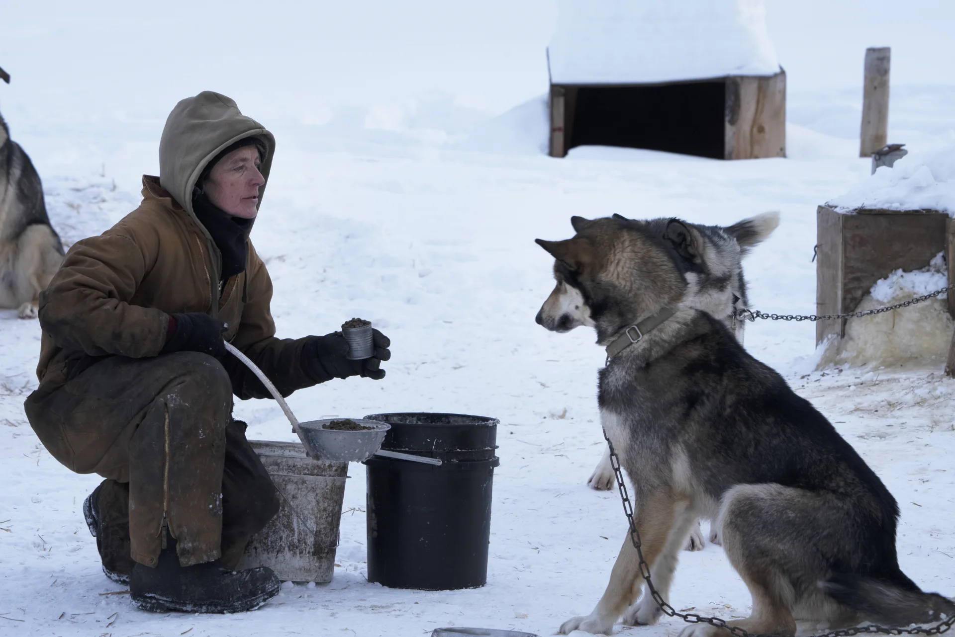 BBC Earth startuje z wieczornymi seansami z przyrodą. Jakich seriali możemy spodziewać się w październiku? BBC Earth startuje z wieczornymi seansami z przyrodą. Jakich seriali możemy spodziewać się w październiku?