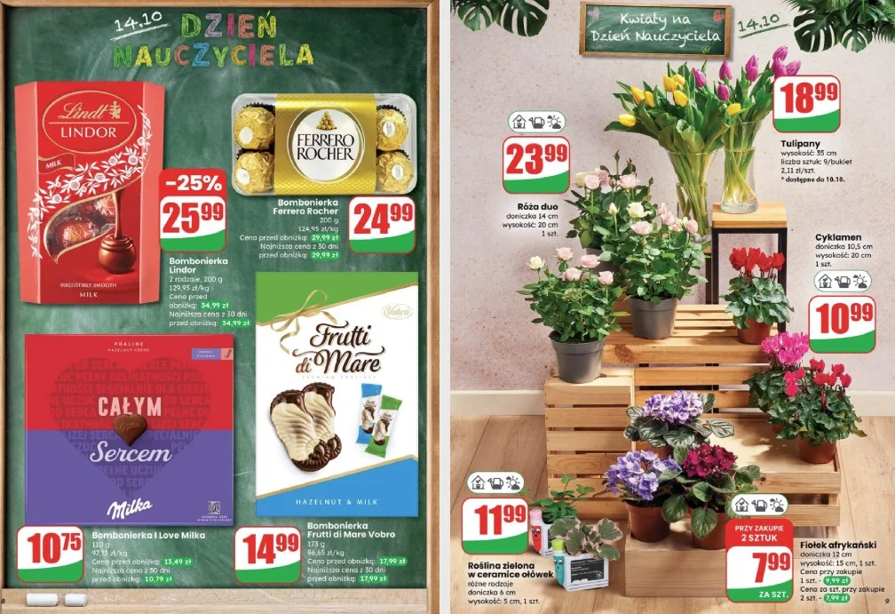 Nowe promocje w Dino