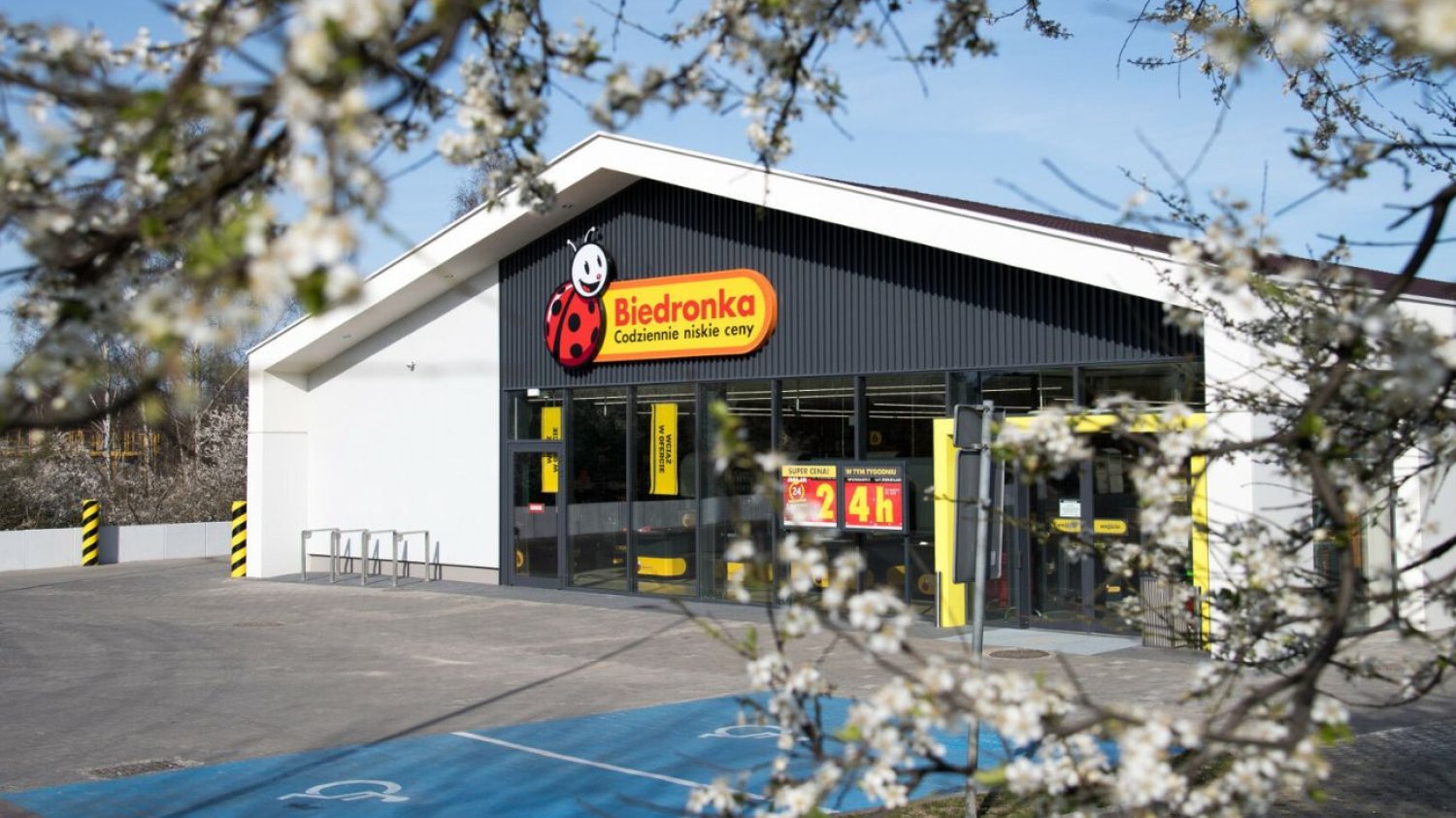 Nowa oferta Biedronki na wiosnę. Siewnik ręczny może być hitem
