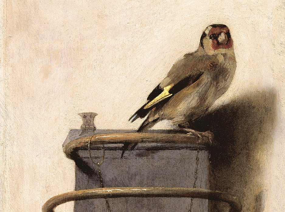 Szczygieł, Carel Fabritius, 1654
Haga, Mauritshuis