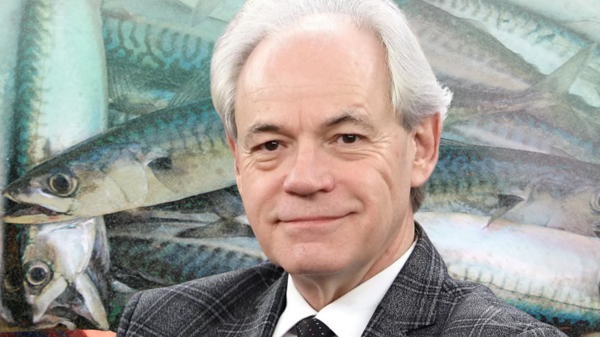 Szejnfeld z KO narzeka na drożyznę. Podnieśli mu cenę makreli, a powód jest poważny