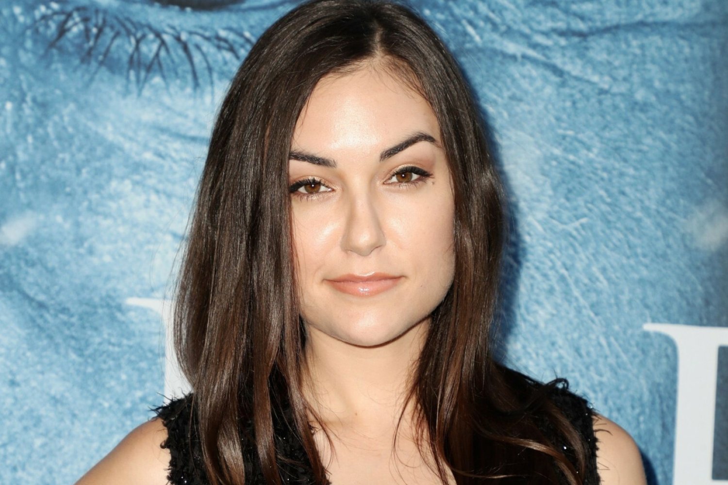 Sasha Grey na plakatach zachęcających Rosjand do pójścia na wojnę.