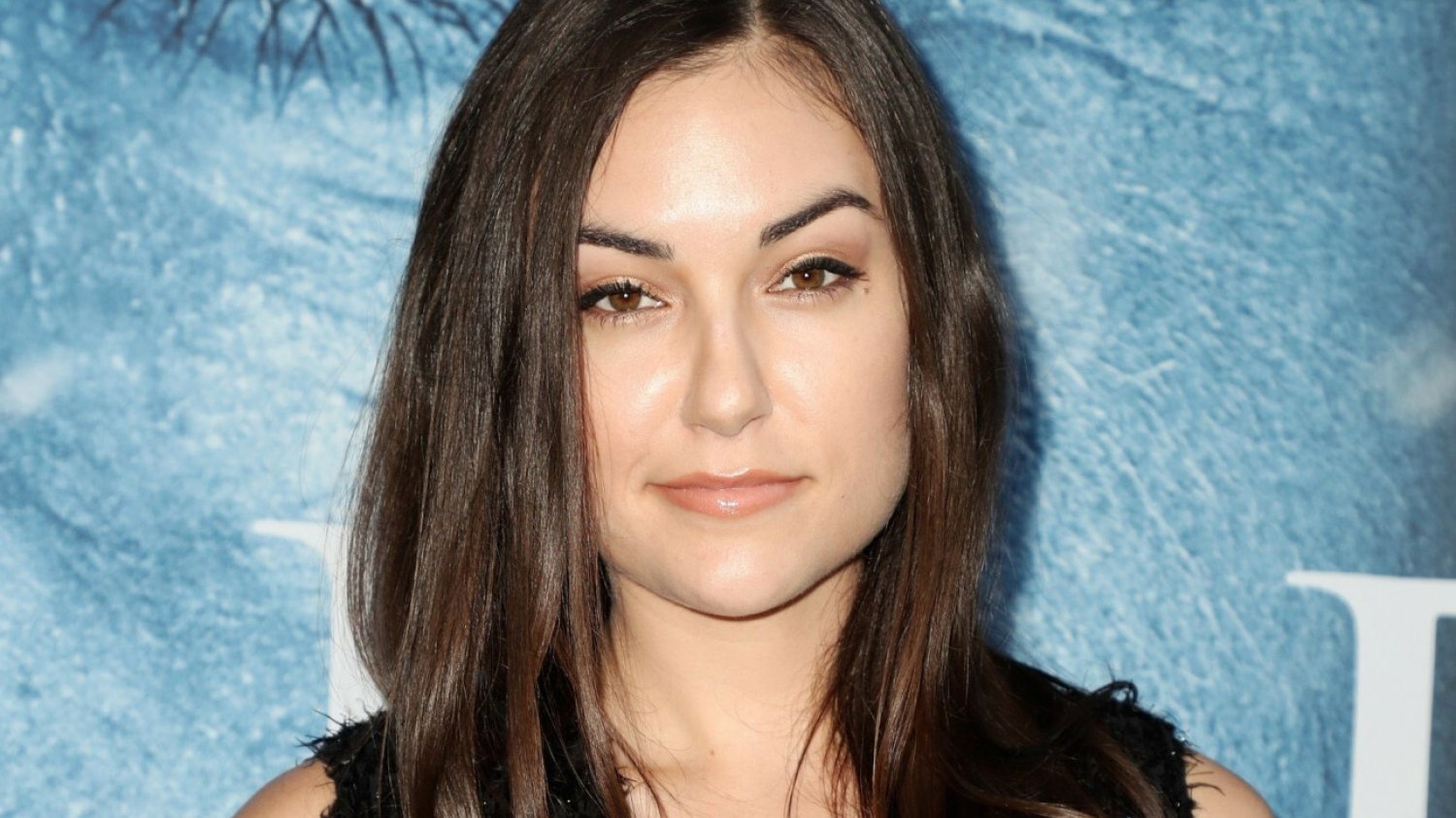 Sasha Grey na plakatach zachęcających Rosjand do pójścia na wojnę.