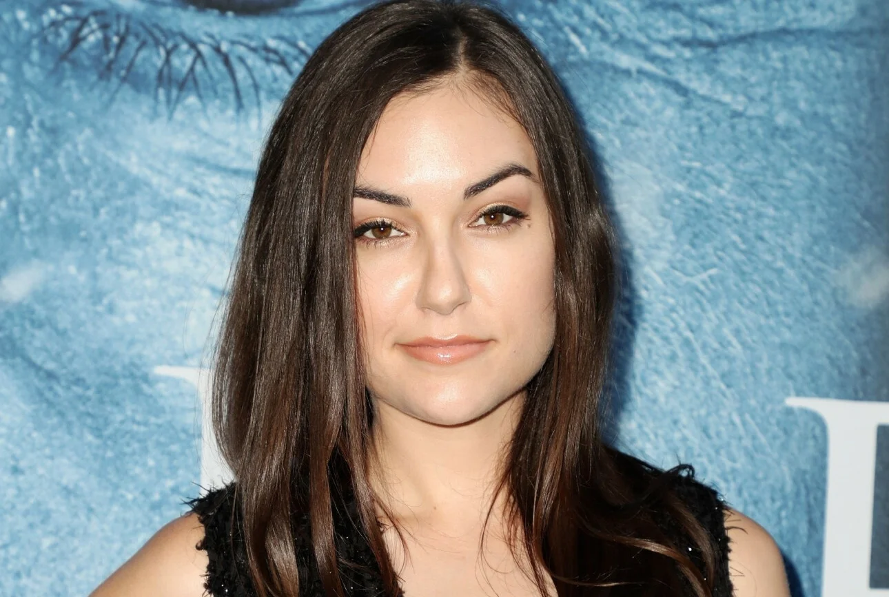 Sasha Grey na plakatach zachęcających Rosjand do pójścia na wojnę.