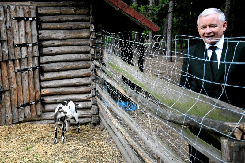 Rolnicy blokują drogi, a PSL twierdzi, że robią to z inspiracji politycznej, bo blisko im do PiS