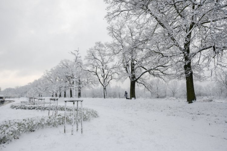 Czy w święta spadnie śnieg? Prognoza IMGW