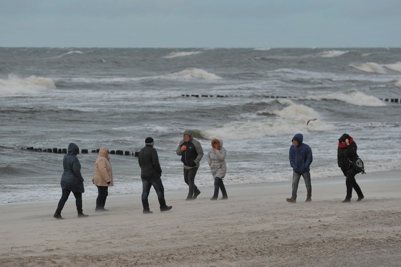Wiosna nadchodzi, ale synoptycy IMGW alarmują. Silny wiatr uderzy w Polskę Wiosna coraz bliżej. IMGW wydało alerty o silnym wietrze.