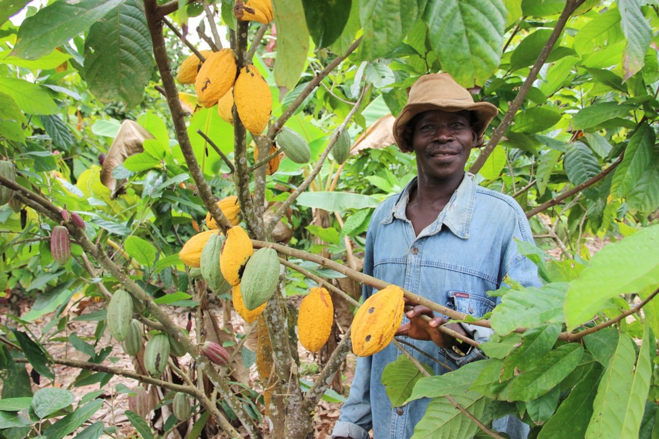 Mars ogranicza emisje CO₂, rozwija działalność i wspiera zrównoważone rolnictwo