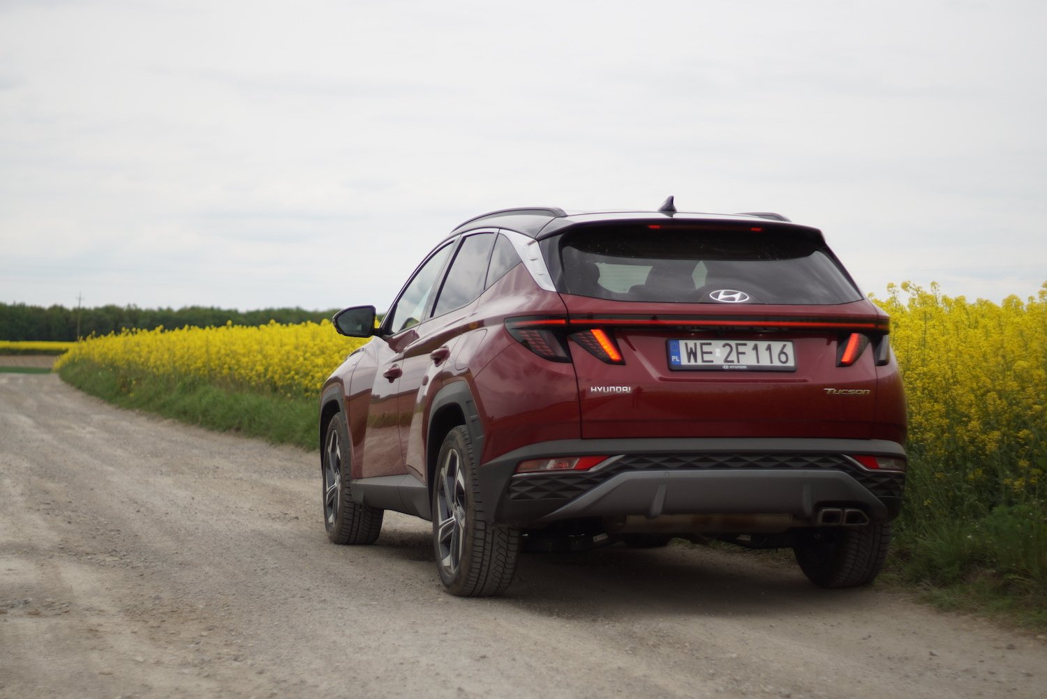 Hynudai Tucson w wersji "miękkiej hybrydy" nie pozwoli wam wiele zaoszczędzić. To jednak bardzo żwawe auto do jazdy w mieście i dłuższej trasie.