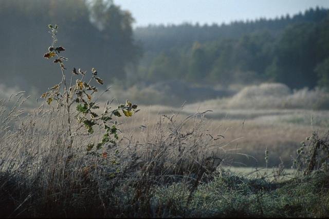 Puszcza Borecka - nad jednym z jezior siedliska ustąpią miejsca inwestycji księdza