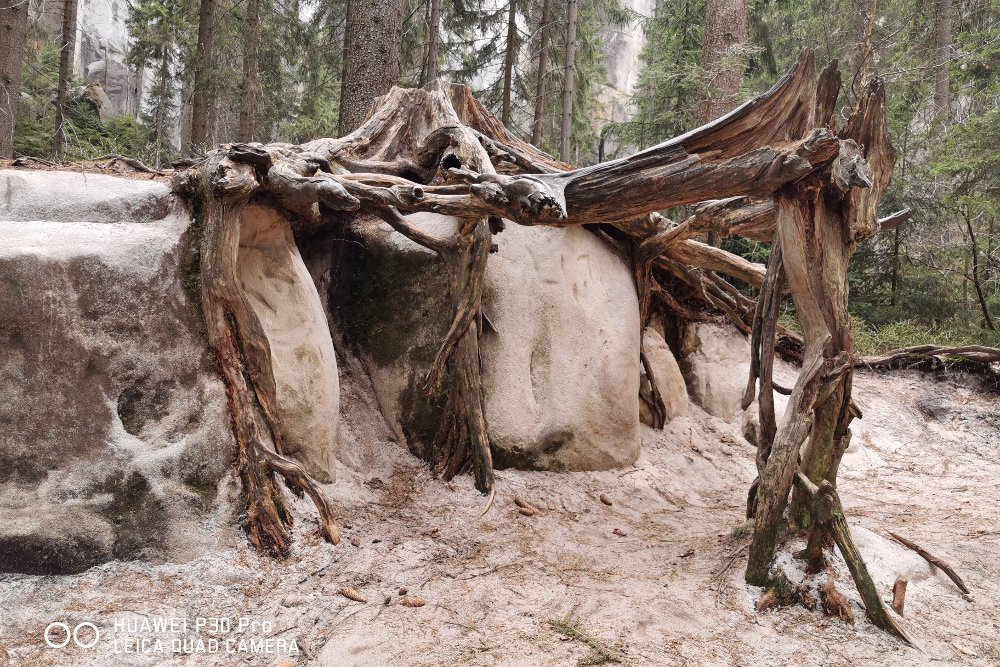 Zdjęcie wykonane smartfonem Huawei P30 Pro