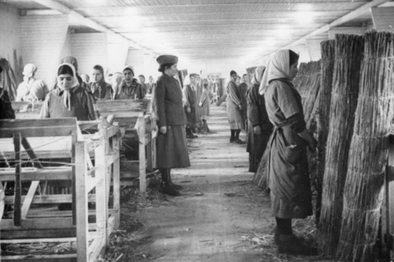 Książka "Harcerki z Ravensbrück"  Anny Kwiatkowskiej-Biedy to reporterska opowieść o "Murach", jedynej funkcjonującej w czasie II wojny światowej żeńskiej drużynie harcerskiej w obozie koncentracyjnym