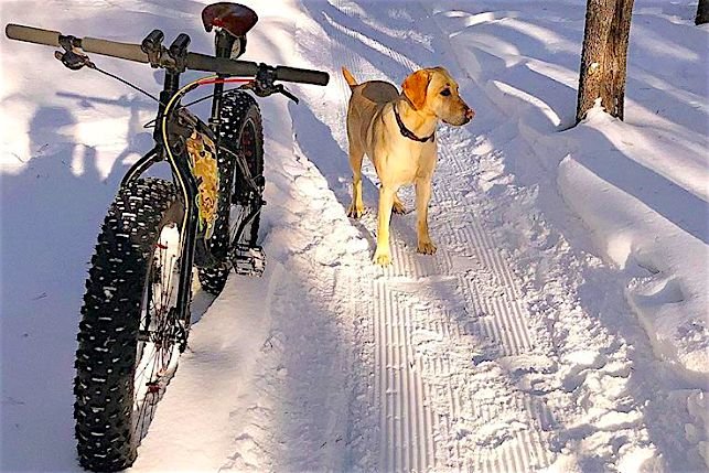 Oto iście zwierzęca pasja do zimowego pedałowania