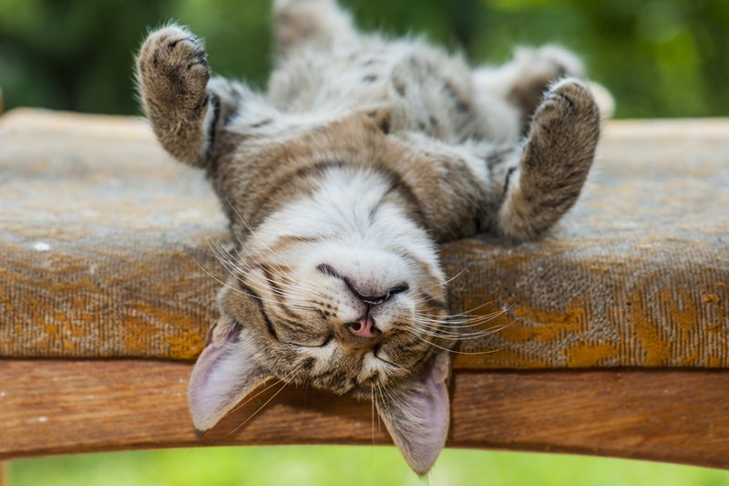 Dziś mamy dzień przerwy od piłki nożnej