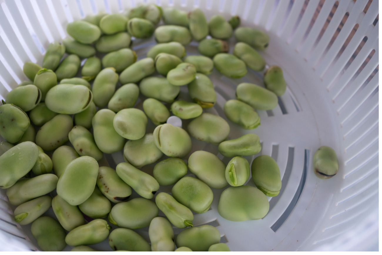 Bób – jak gotować? Zamiast marnowania skórek chrupiące chipsy