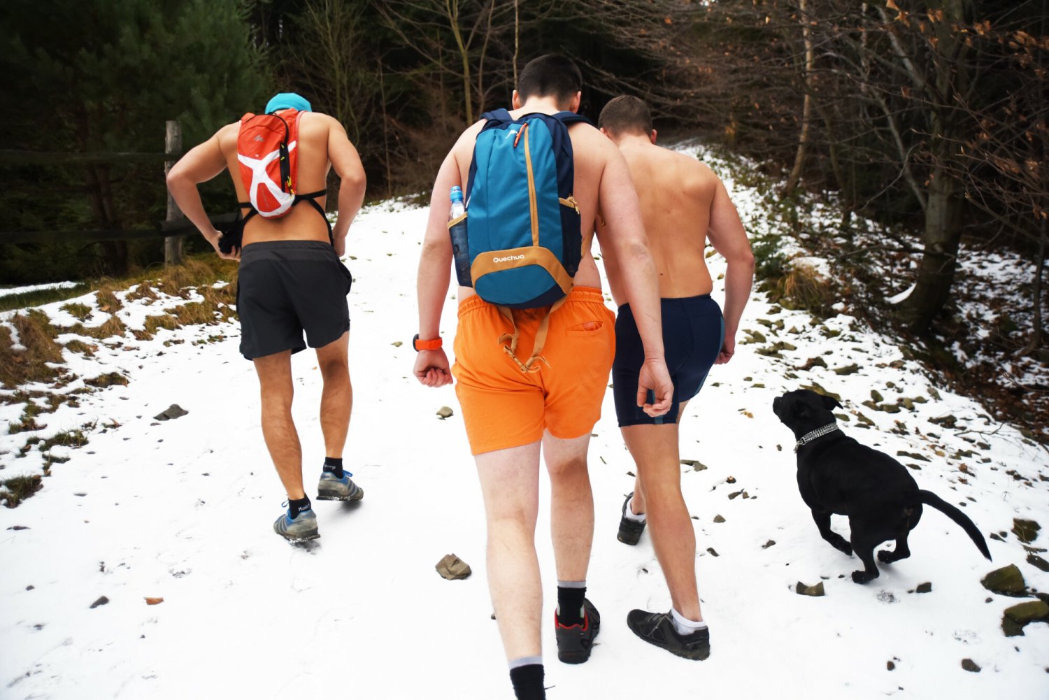 "Suche morsowanie" zyskuje na popularności. Eksperci mają jasne stanowisko