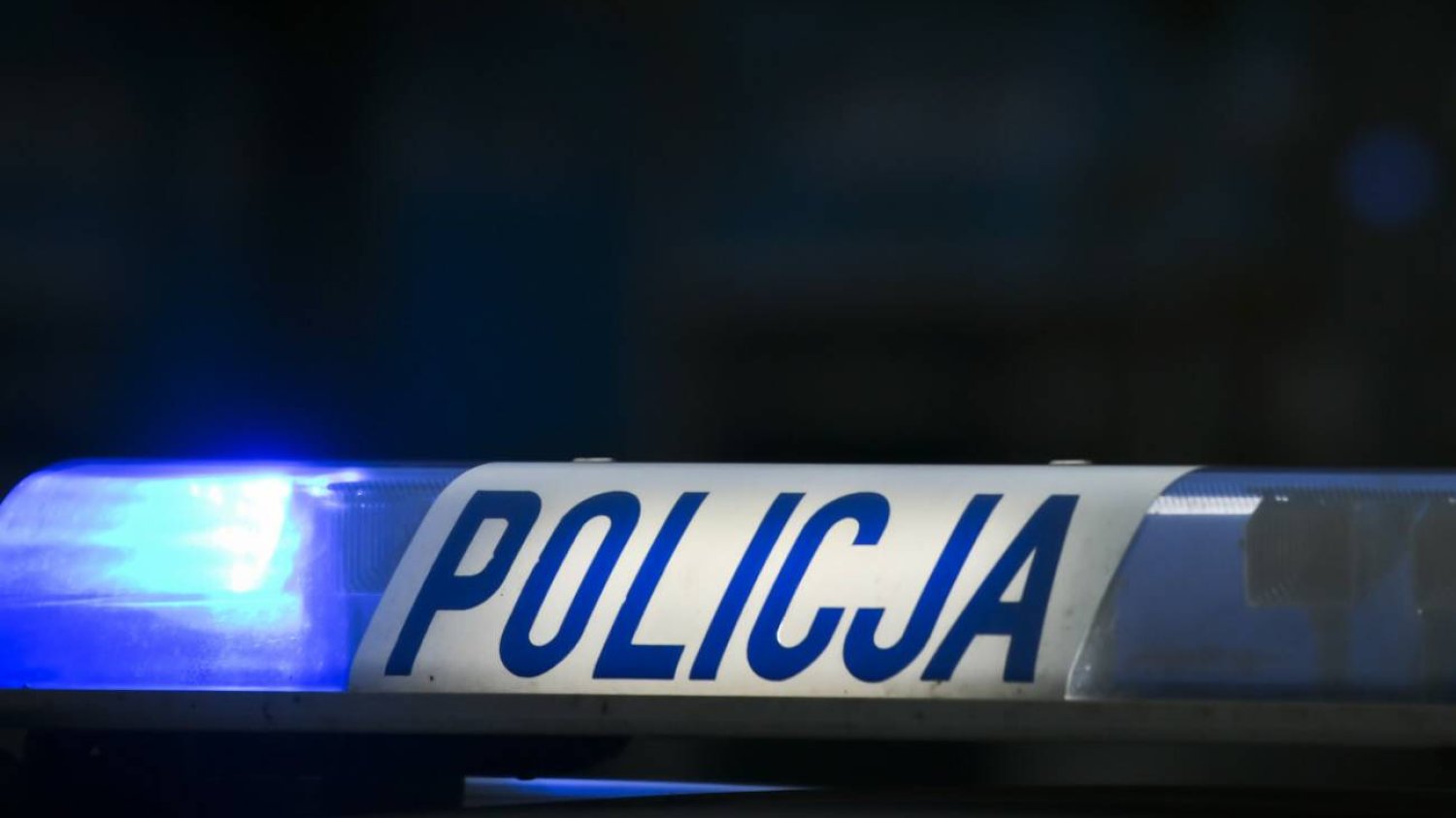 Czerniki koło Kościerzyny: ciała trzech noworodków w piwnicy domu