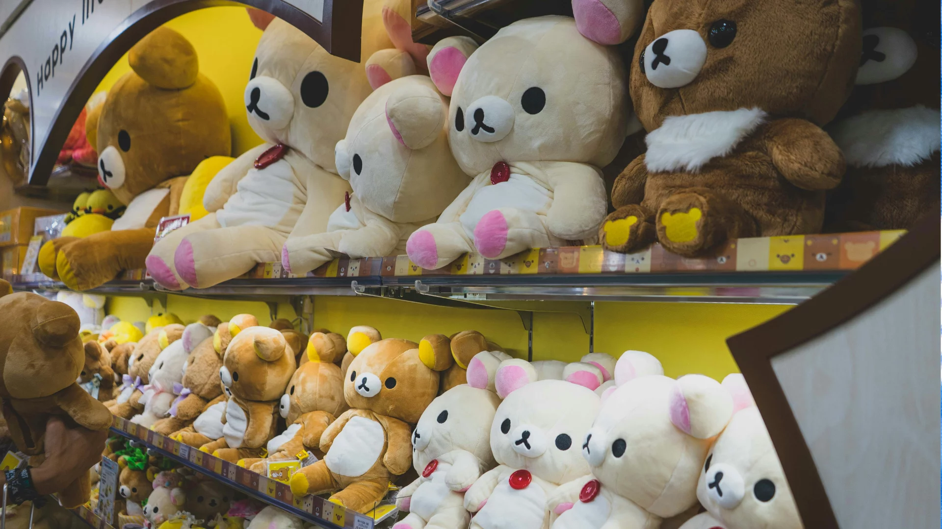 Zapamiętaj nazwę XIMI-V. To może być koniec dominacji Pepco i Action