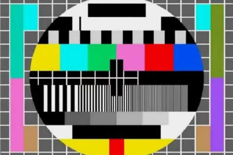 Opinia grafologa zniknęła za strony TVP.