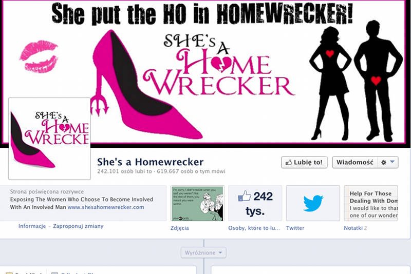 Zrzut ekrany z fanpage'a Shesahomewrecker.com