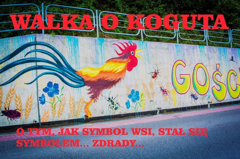 Proboszczowi z parafii w Pcimiu nie spodobała się inicjatywa społeczna i symbol koguta. Podczas mszy nawiązał m.in. do LGBT i aborcji.