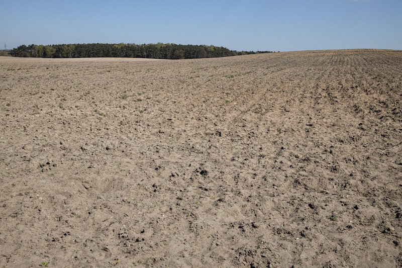 Susza w Polsce osiągnie rekordową skalę? Synoptycy ostrzegają, że może nas czekać susza stulecia.