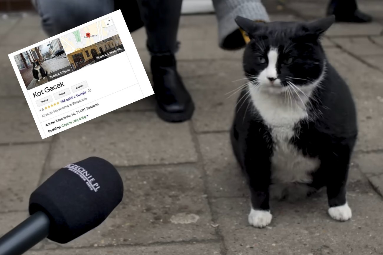 Gacek podczas swojego życia na ulicy dosyć niechętnie udzielał wywiadów