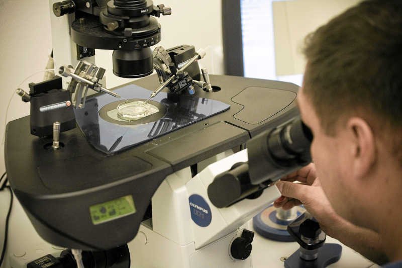 Jeśli leczenie bezpłodności nie przynosi efektów, jedynym rozwiązaniem pozostaje in vitro.