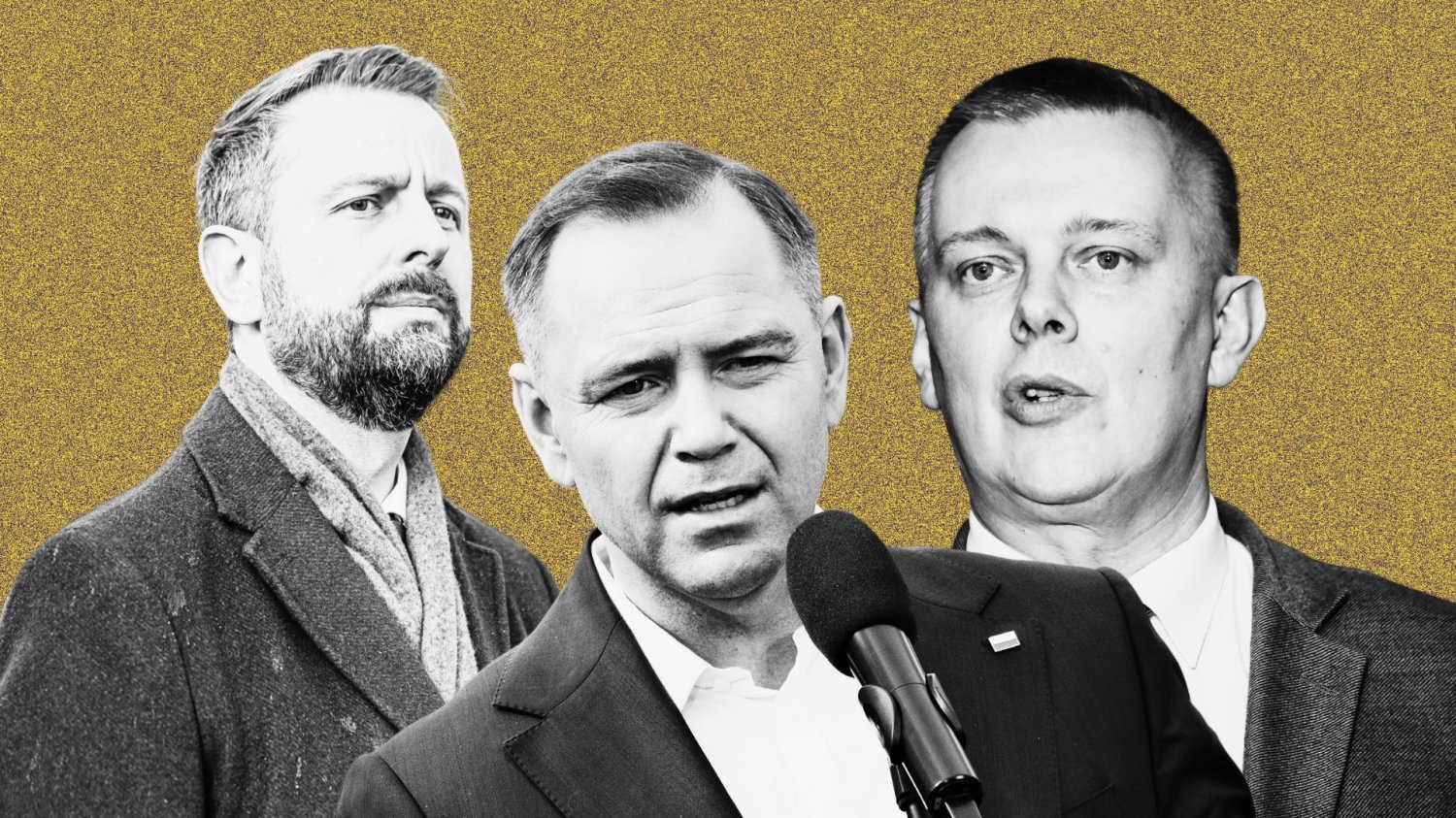 Władysław Kosiniak-Kamysz, Tomasz Siemoniak, Karol Nawrocki