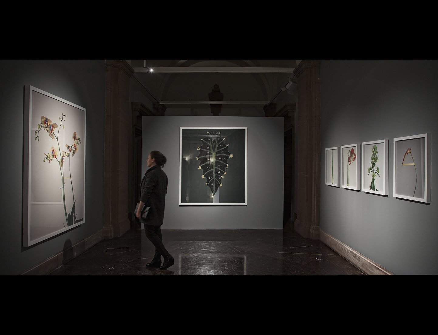 "Demontaż"  Galeria PF / Poznań