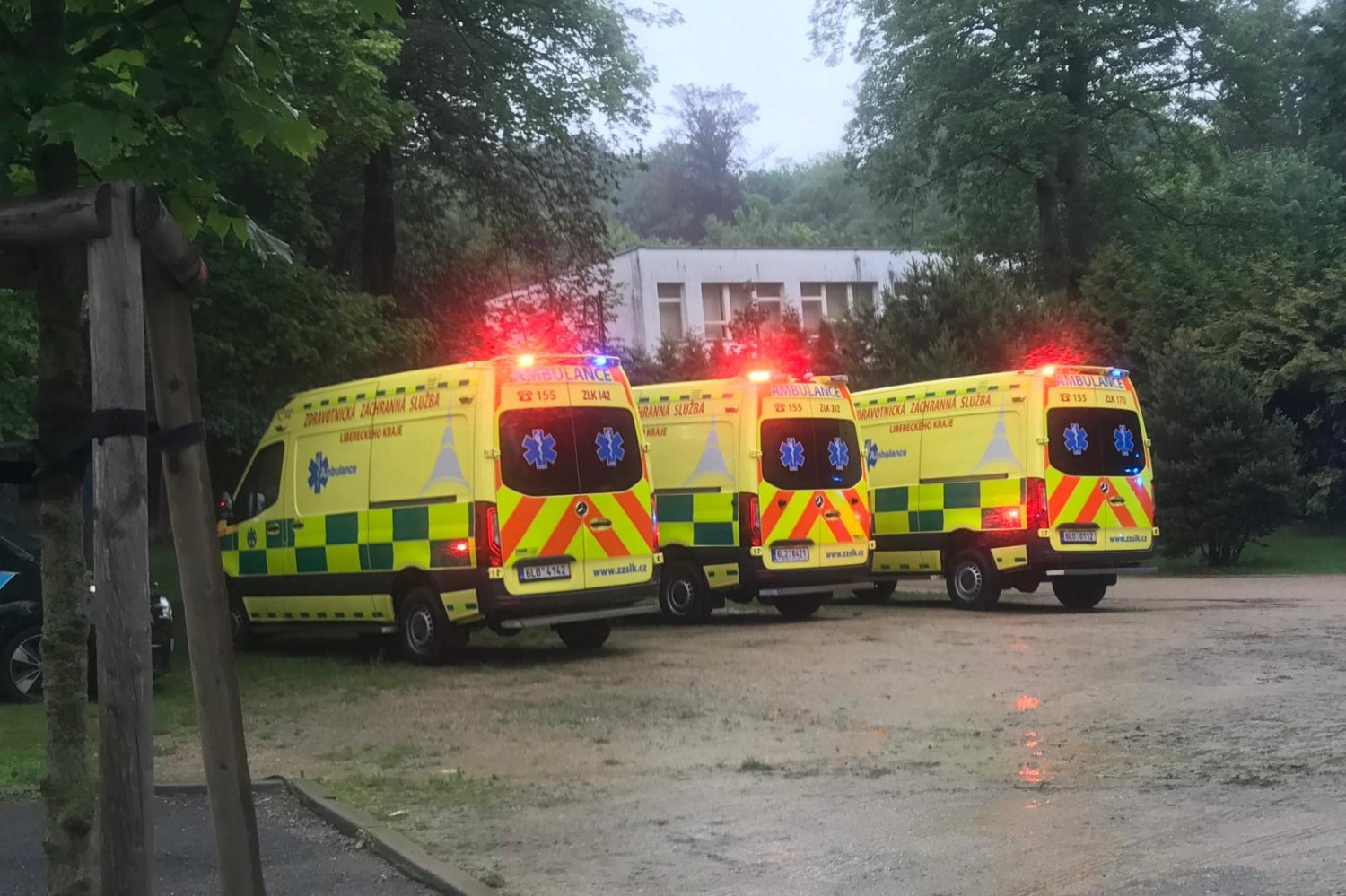 W Czechach doszło do tragicznego wypadku. W drzewo, pod którym schroniło się 20 osób, uderzył piorun