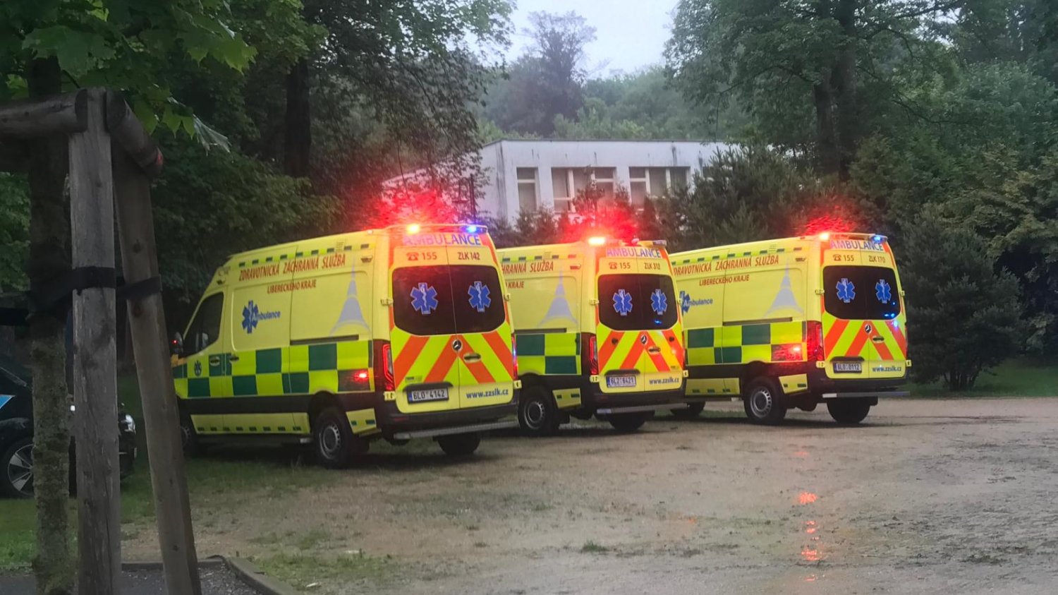 W Czechach doszło do tragicznego wypadku. W drzewo, pod którym schroniło się 20 osób, uderzył piorun
