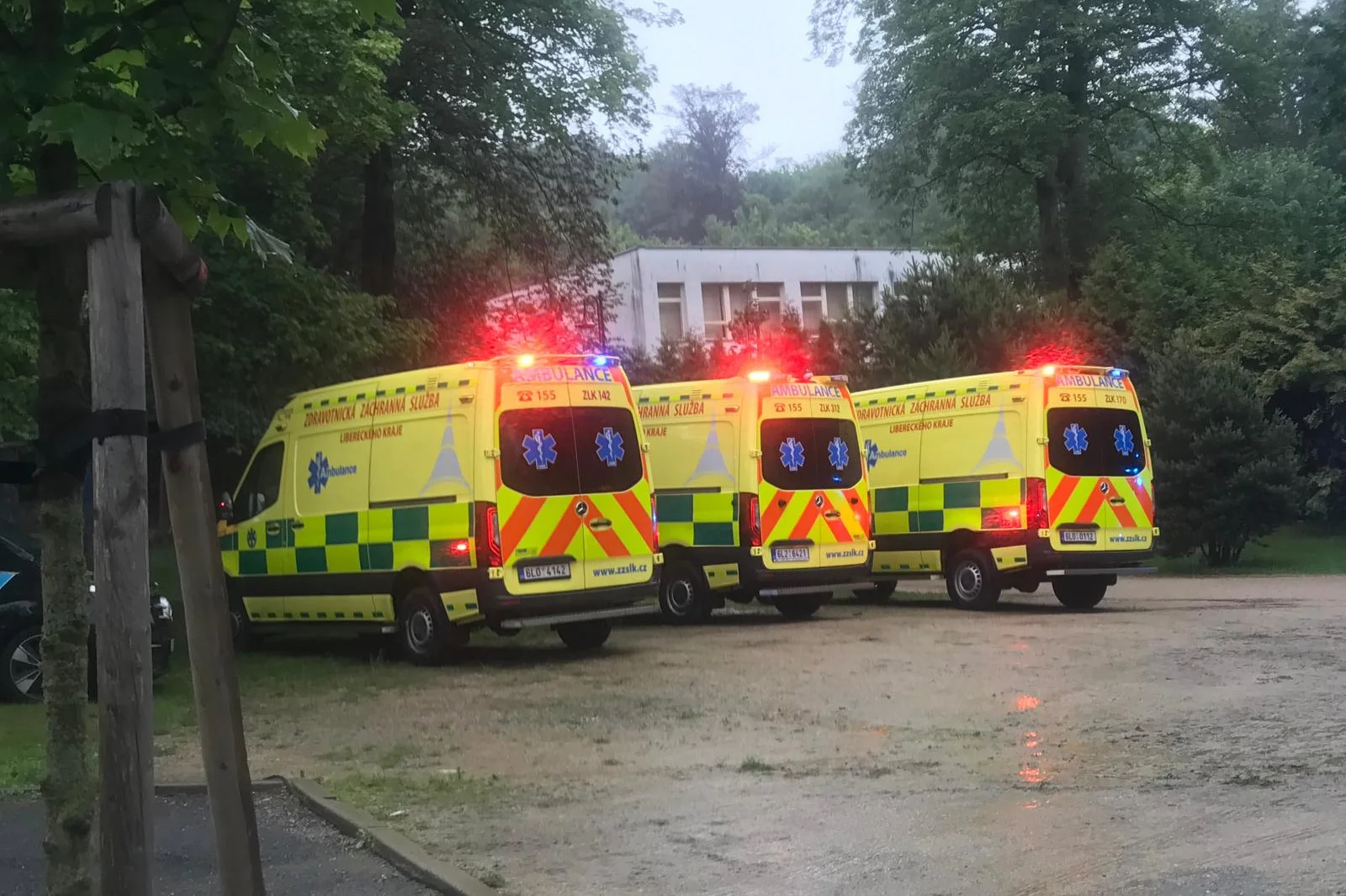 W Czechach doszło do tragicznego wypadku. W drzewo, pod którym schroniło się 20 osób, uderzył piorun