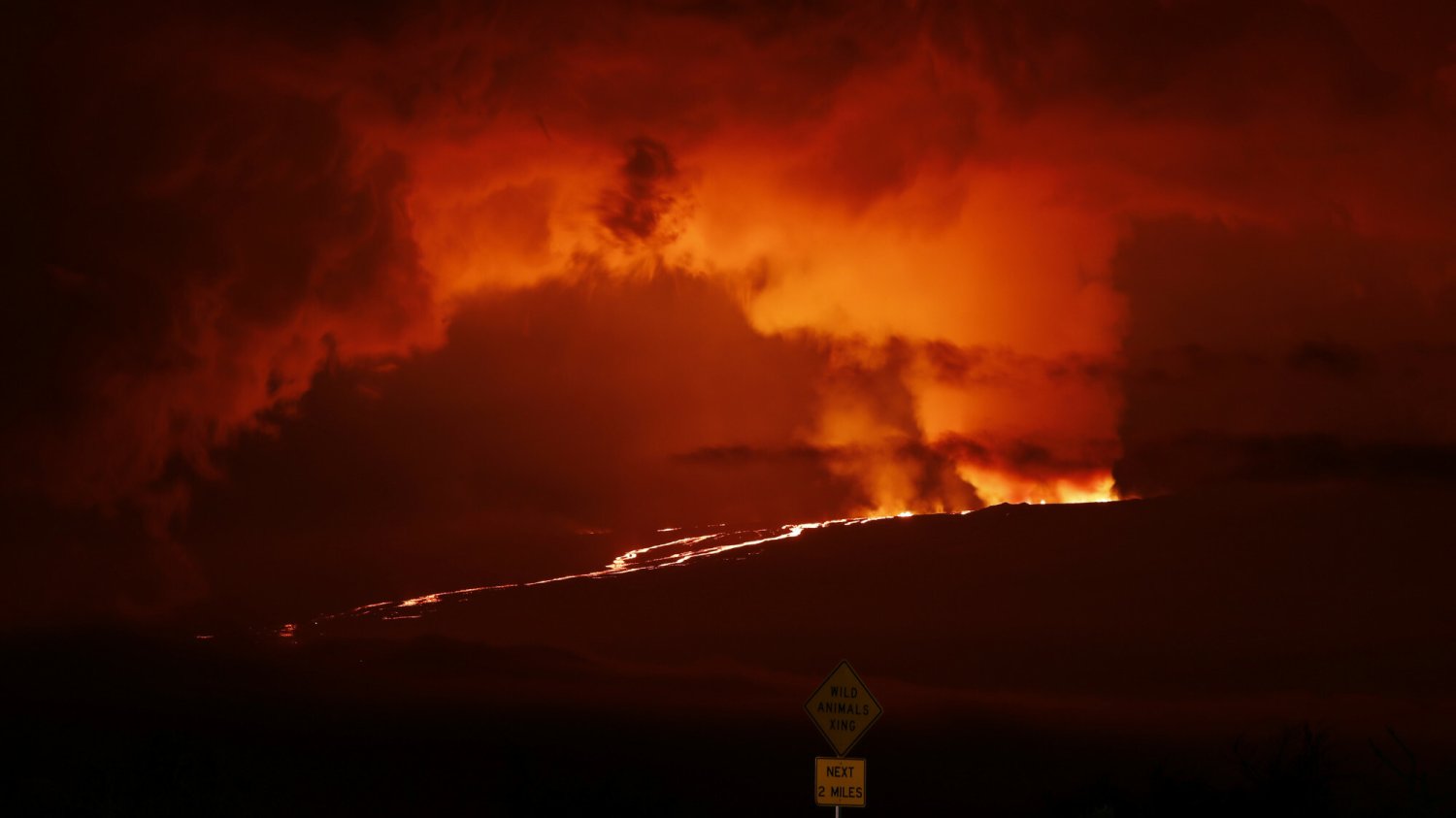 Erupcja Mauna Loa miała miejsce w nocy z niedzieli na poniedziałek.