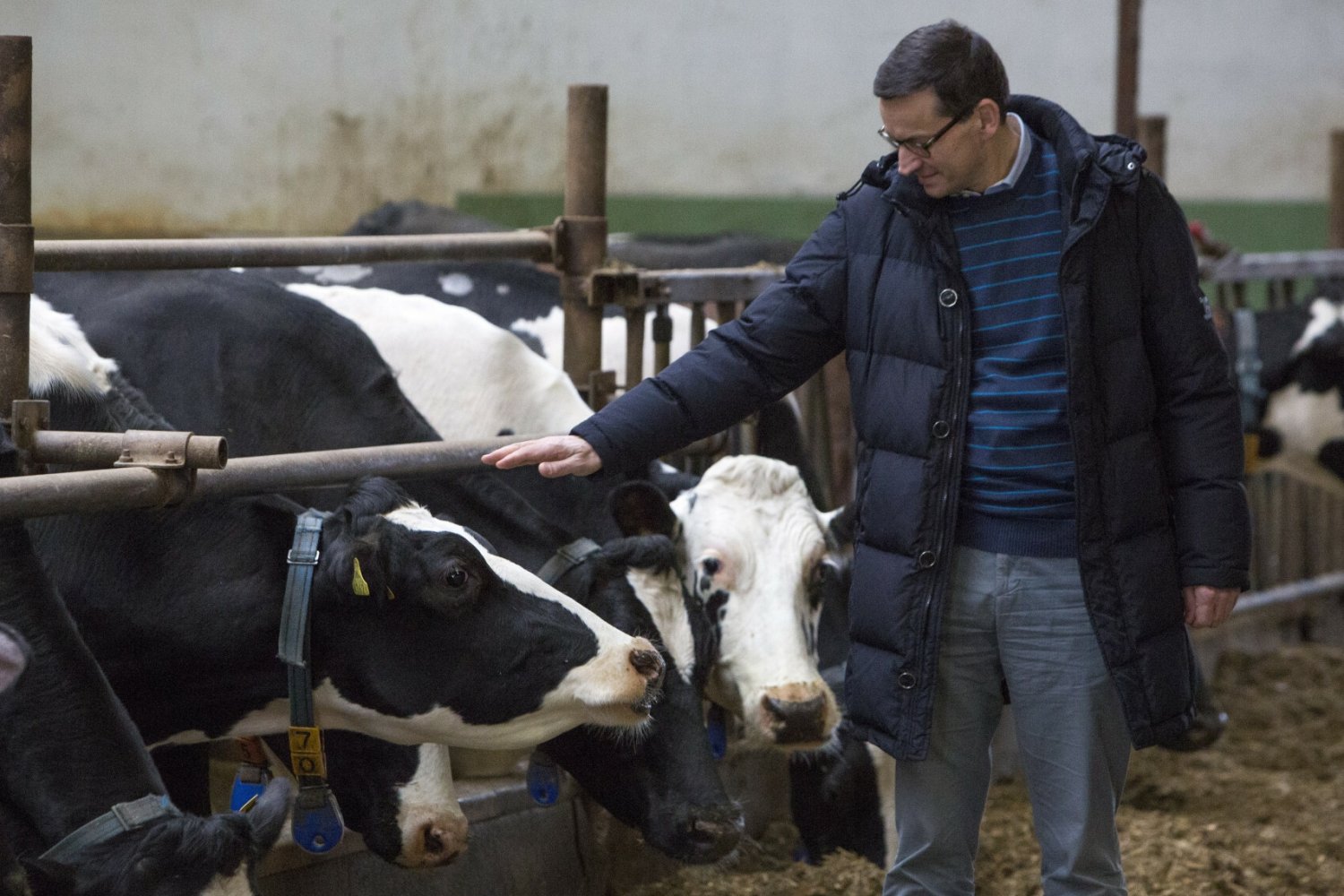 Premier Mateusz Morawiecki wydał zarządzenie ustanawiające funkcję pełnomocnika ds. zwierząt.