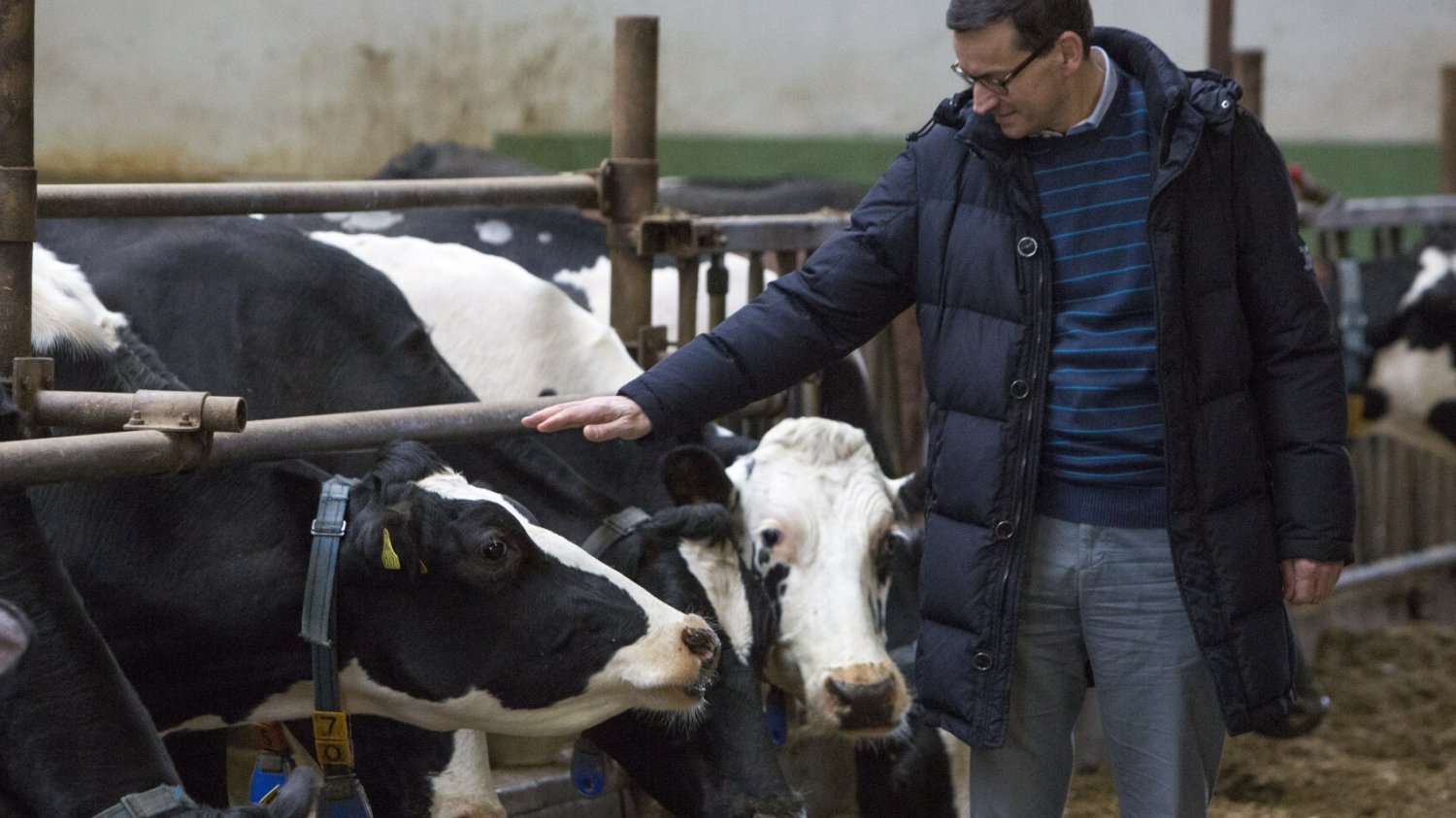 Premier Mateusz Morawiecki wydał zarządzenie ustanawiające funkcję pełnomocnika ds. zwierząt.