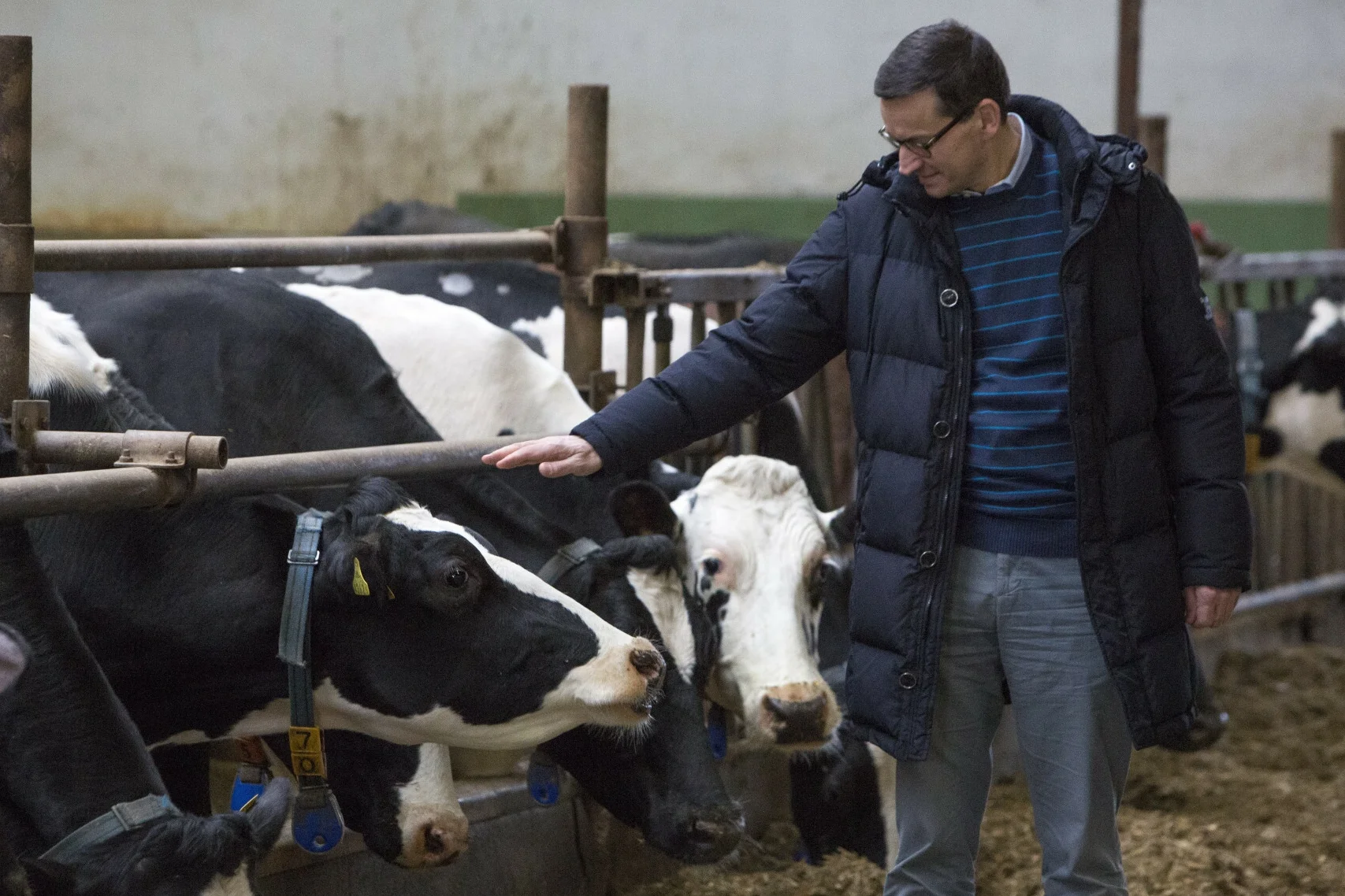 Premier Mateusz Morawiecki wydał zarządzenie ustanawiające funkcję pełnomocnika ds. zwierząt.