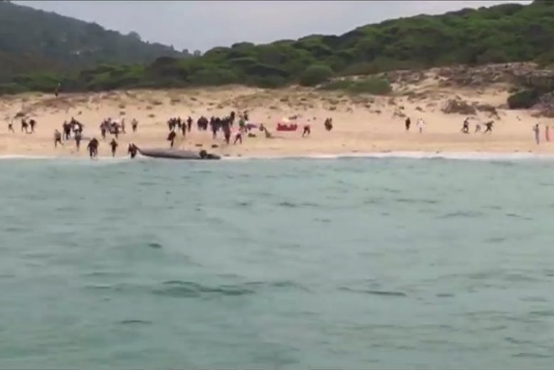 Austria i Włochy nie chcą, żeby imigranci mieli możliwość zejścia na ląd przed weryfikacją.